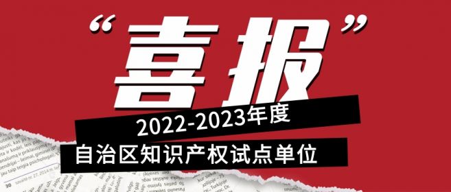喜報(bào)！寧夏盾源聚芯獲批“2022-2023年度自治區(qū)知識(shí)產(chǎn)權(quán)試點(diǎn)單位”
